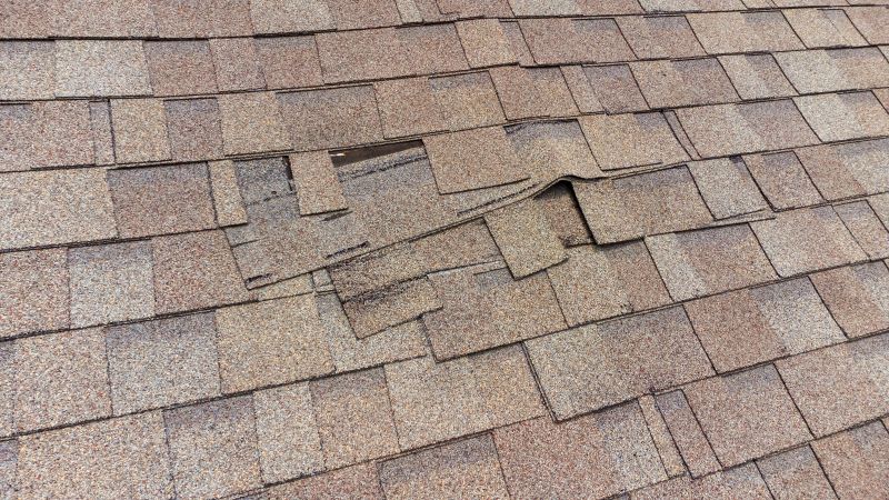 Shingle Replacement Experts